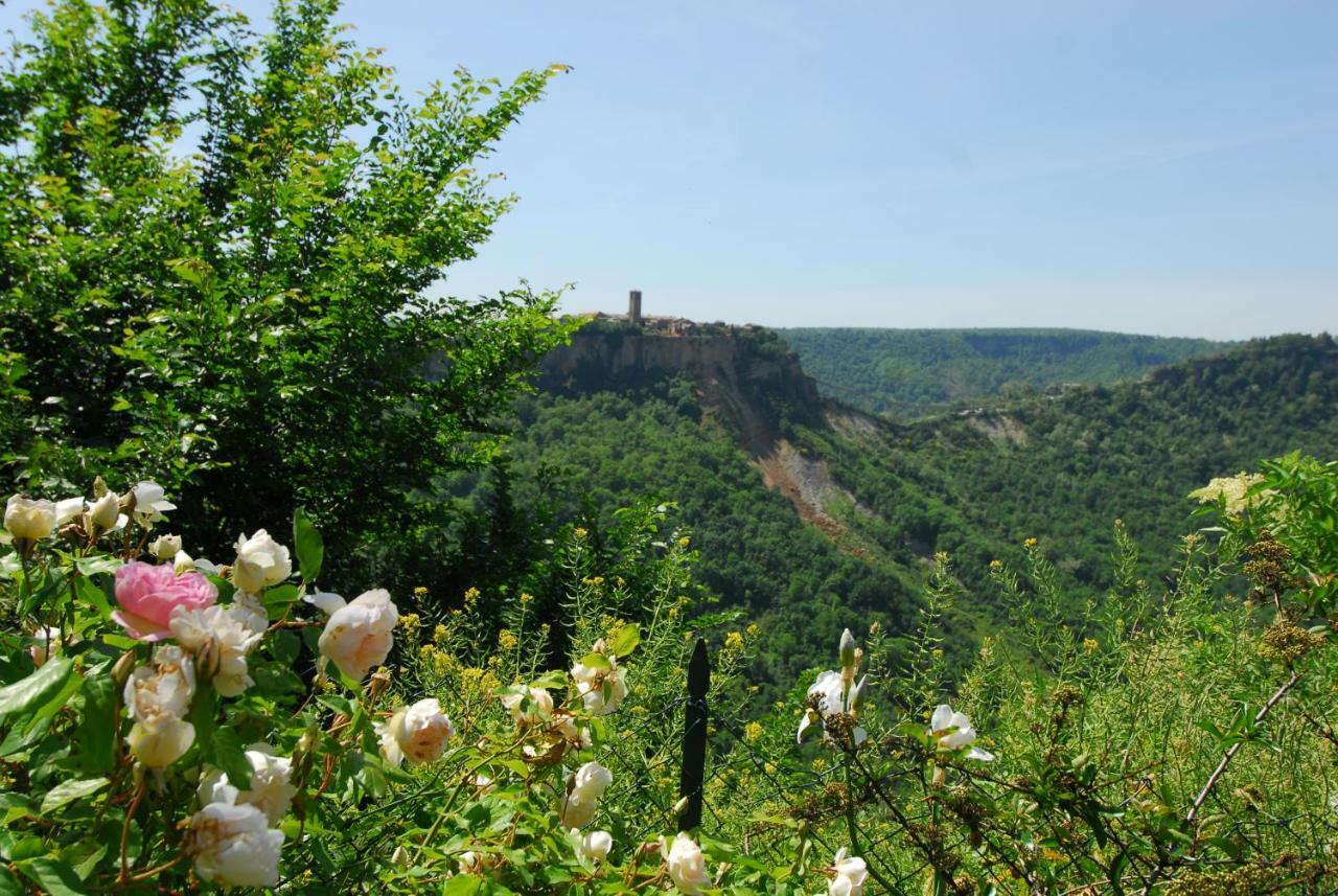 Casa Con Vista Mozzafiato Su Civita Di Bagnoregio Villa Lubriano Luaran gambar