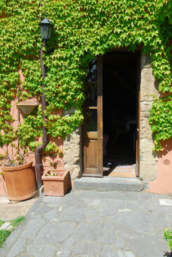 Casa Con Vista Mozzafiato Su Civita Di Bagnoregio Villa Lubriano Luaran gambar